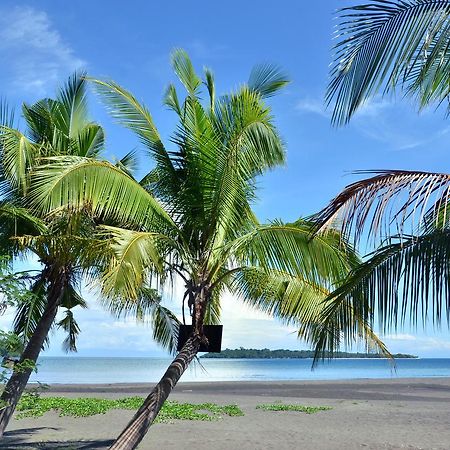 Adventure Camp Beach Resort Sablayan エクステリア 写真